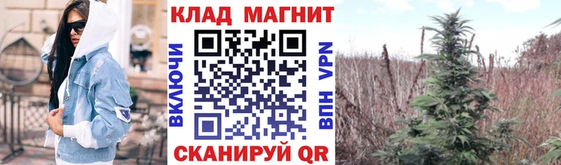 Виды наркоты Курганинск ГАШ Марихуана МЕФ