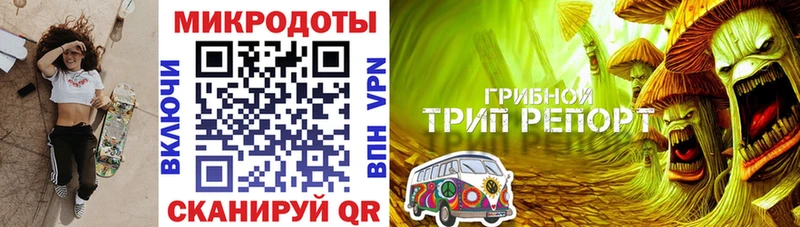 Псилоцибиновые грибы мухоморы  где купить наркоту  Курганинск 